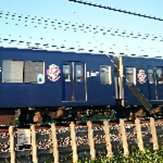 seina