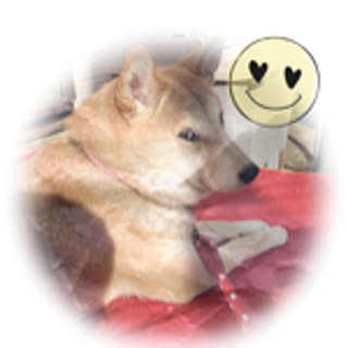 pikusa