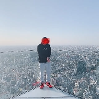 survive0081