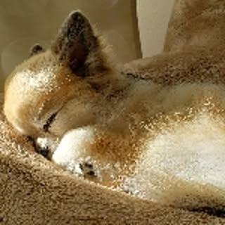 Yasuko