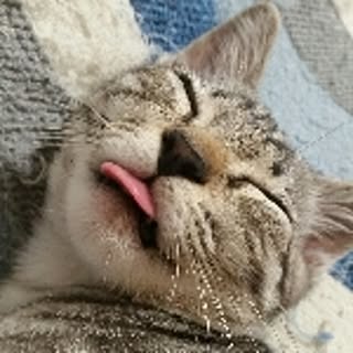 mizupon