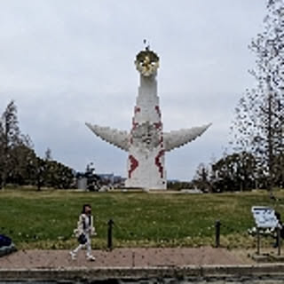haya