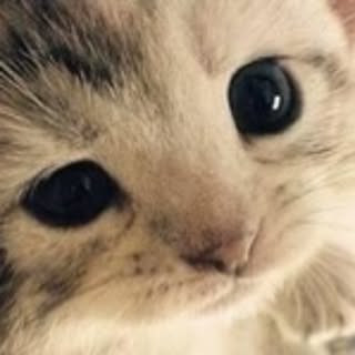 sweetdrop