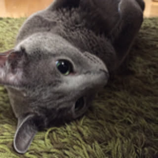 Tom