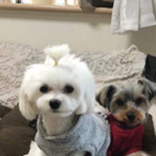 mami.0702.riyo