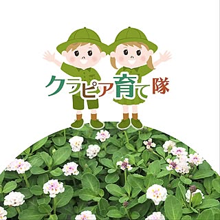 Kurapia-Sodatetai
