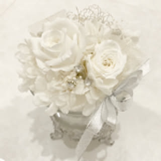 mei825