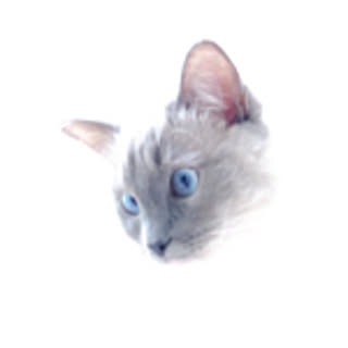 choki