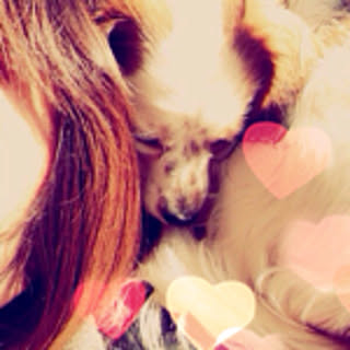 mayu