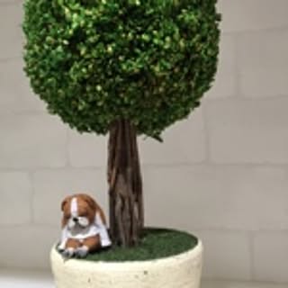 nano