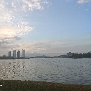 sarasara