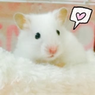 omochi