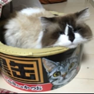 megu