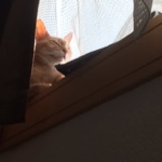 aya_carmine17