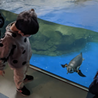 kyoo