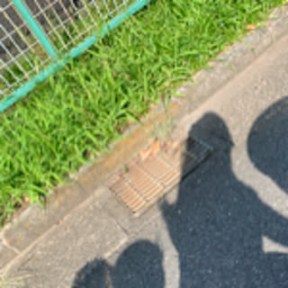 Mayumom