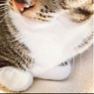 Smilemac