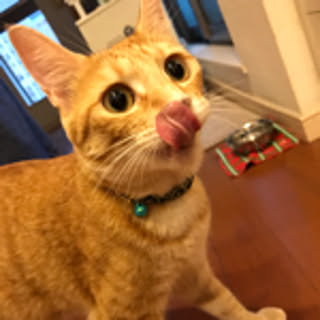 wagii