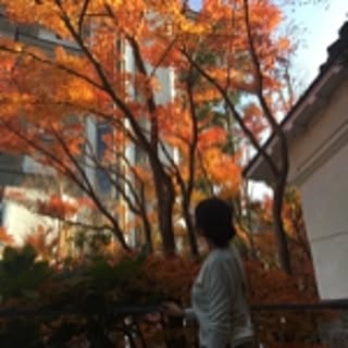 ayoumijp