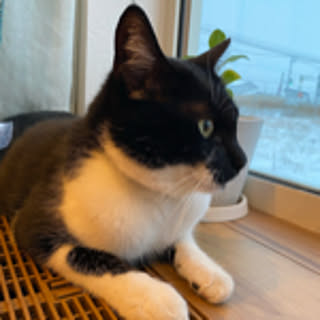 yukiemon