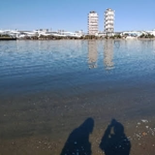 fujifujimomomo