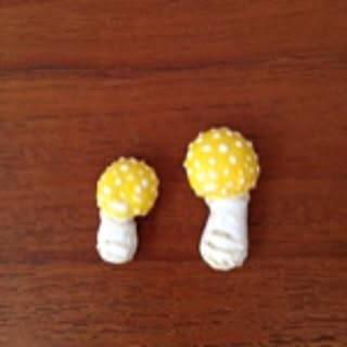 Toadstool-k