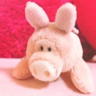 naachan.