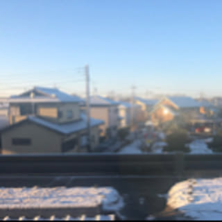 chenjiuru89