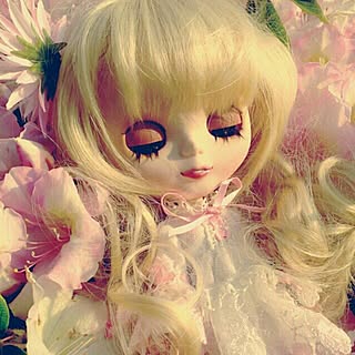 lily