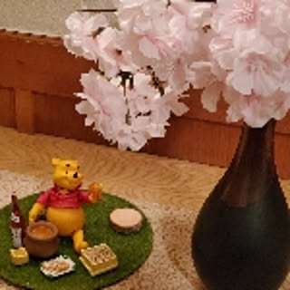 shigeruko