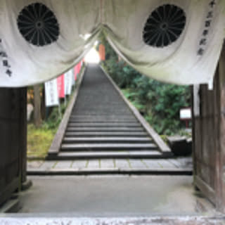 Nao