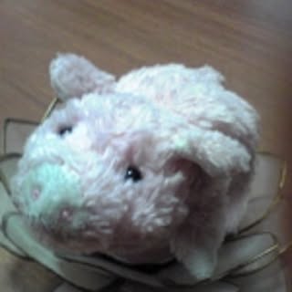 u_meg