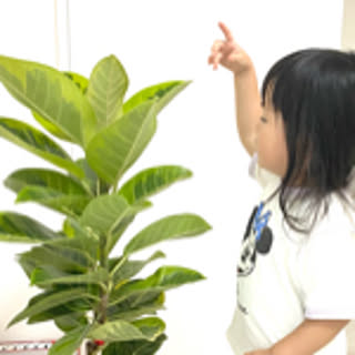 mioniko