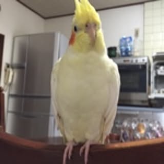 nanamama