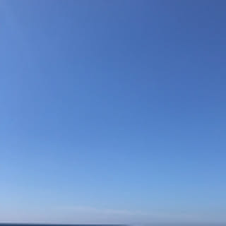 kiokoharu