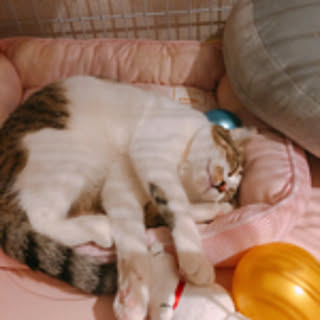 Chika