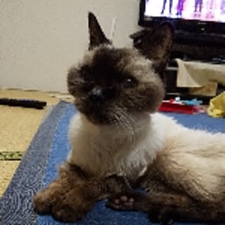 Syouhei