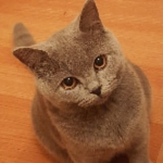you