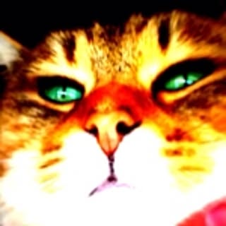 nanakoko