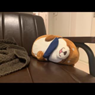 fumi