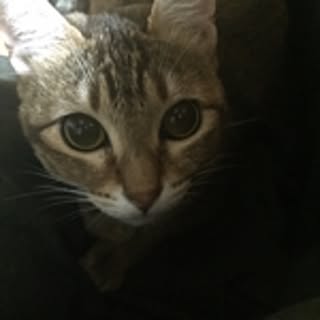 jiji0515