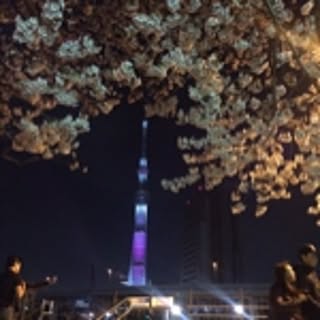 kousei