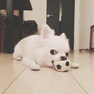 Aiko