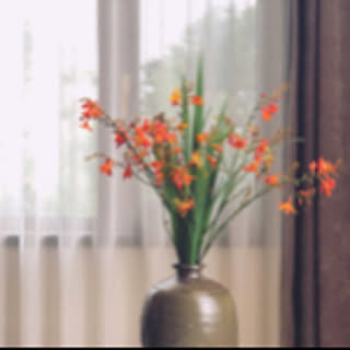 150091253