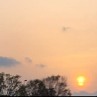 fujisuki