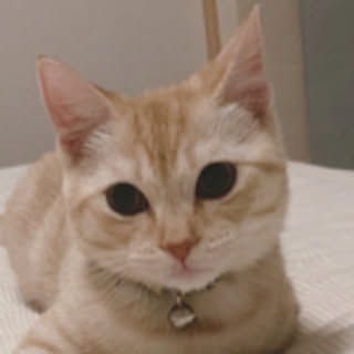 m.k.m
