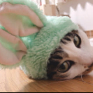 Aki..
