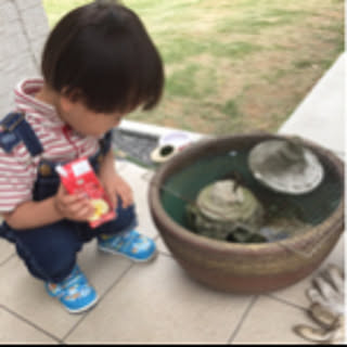 Aiko