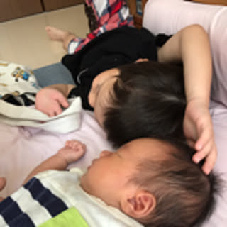 tomo