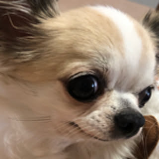 mysumika